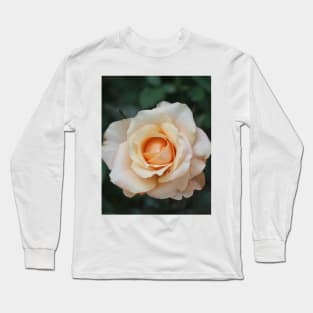 White rose blossom with bright yellow center Long Sleeve T-Shirt